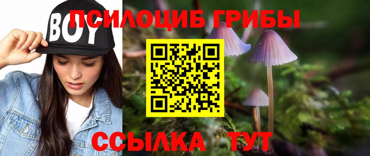 Ирбит  Псилоцибиновые грибы мицелий  Вход с VPN  Псилоцибиновые грибы MAGIC MUSHROOMS 