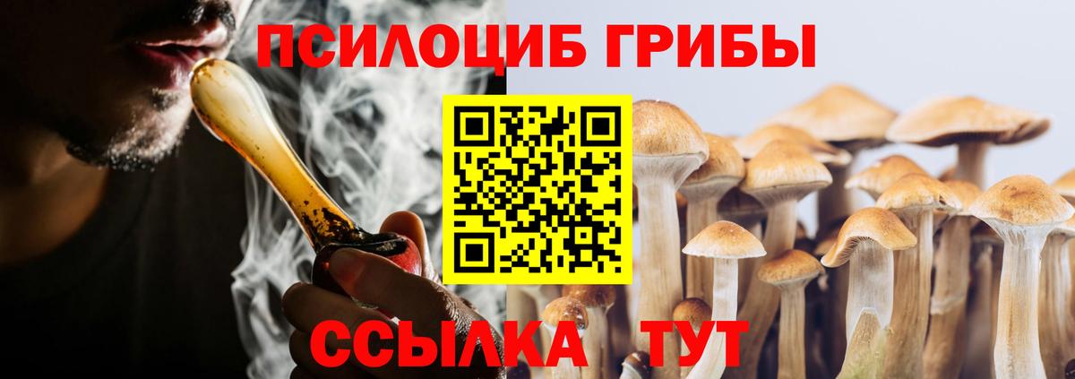 Галлюциногенные грибы Psilocybe Ирбит